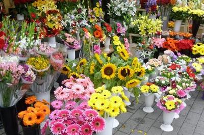 2018-2019年適合創業的20個好項目推薦 禮品花卉銷售引領潮流，年青人抓住機遇！